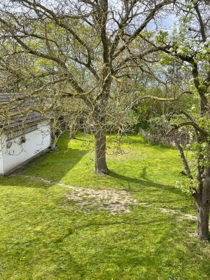 Villa Kleines Haus Am Feld Rehna Exterior foto